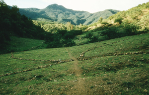 Stone Crossing